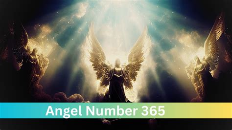 3/365 meaning|Angel number 365: Meaning And Symbolism .